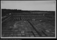 Tybory-Kamianka, Pałac Roszkowskich, układanie stropu nad parterem