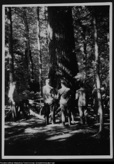 Białowieża, Park Narodowy