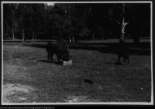 Białowieża, Park Narodowy