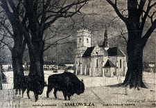 Białowieża. Zamek B. Cesarski. Projektowany kościół [...]. Cegiełka na budowę kościoła w Białowieży