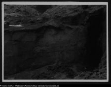 Supraśl, pobazyliański zesp&oacute;ł cerkiewno-klasztorny