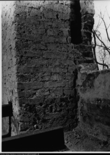 Szczuczyn, Dom Szczuków