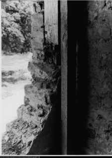 Szczuczyn, Dom Szczuków