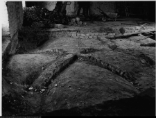 Szczuczyn, Dom Szczuków