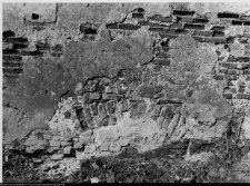 Szczuczyn, Dom Szczuków