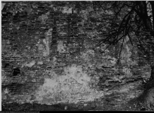 Szczuczyn, Dom Szczuków