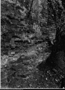 Szczuczyn, Dom Szczuk&oacute;w