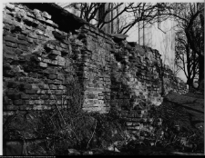 Szczuczyn, Dom Szczuków