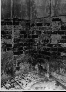 Szczuczyn, Dom Szczuków