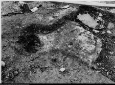 Szczuczyn, Dom Szczuk&oacute;w