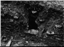 Szczuczyn, Dom Szczuków