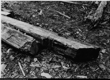 Szczuczyn, Dom Szczuków