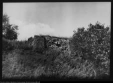 Supraśl, pobazyliański zesp&oacute;ł cerkiewno-klasztorny