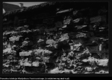 Supraśl, pobazyliański zesp&oacute;ł cerkiewno-klasztorny