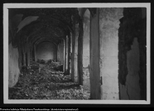 Supraśl, pobazyliański zesp&oacute;ł cerkiewno-klasztorny