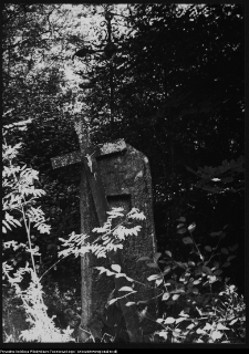 Supraśl, cmentarze (ewangelicki, katolicki)