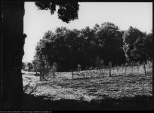 Supraśl, cmentarze (ewangelicki, katolicki)