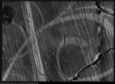 Supraśl, pobazyliański zesp&oacute;ł cerkiewno-klasztorny - freski