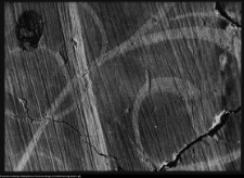 Supraśl, pobazyliański zespół cerkiewno-klasztorny - freski