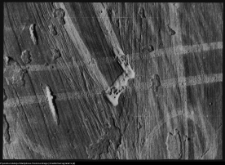 Supraśl, pobazyliański zespół cerkiewno-klasztorny - freski