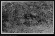 Tykocin, ruiny zamku