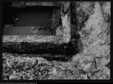 Tykocin, ruiny zamku