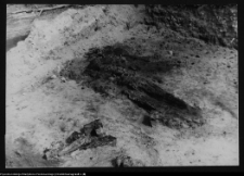 Tykocin, ruiny zamku