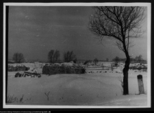 Tykocin, ruiny zamku