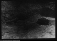 Tykocin, ruiny zamku