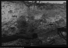 Tykocin, ruiny zamku