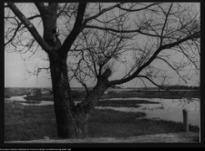 Tykocin, widok na rozlewiska Narwi od strony zamku