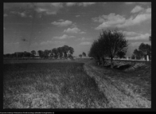 Tykocin, wały po zamku
