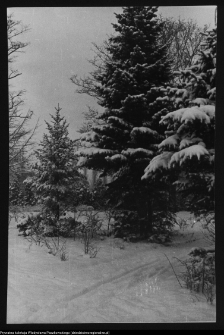 Białystok, Park Planty