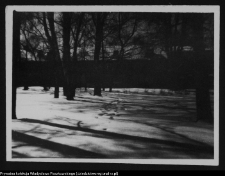 Białystok, Park Planty