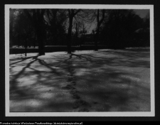 Białystok, Park Planty