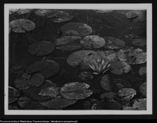 Białystok, Park Planty