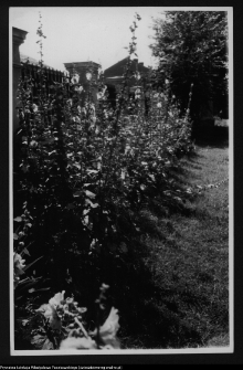 Łomża, katedra p.w. św. Michała Archanioła