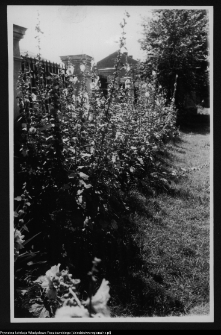 Łomża, katedra p.w. św. Michała Archanioła