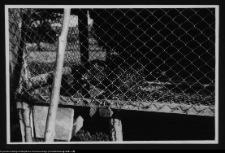 Łosośna, drewniany dwór