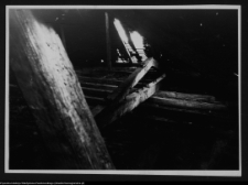 Łosośna, drewniany dwór