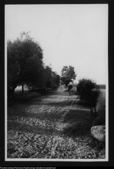 Łosośna, okolice dworu