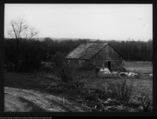 Łosośna, otoczenie dworu