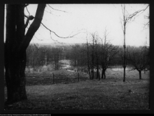 Łosośna, okolice dworu