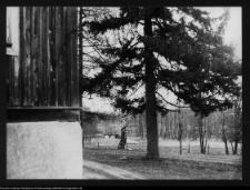 Łosośna, okolice dworu