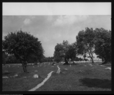 Tykocin, cmentarz żydowski