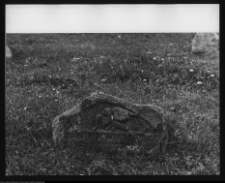 Tykocin, cmentarz żydowski