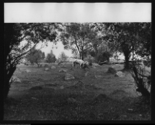 Tykocin, cmentarz żydowski