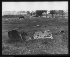 Tykocin, cmentarz żydowski