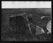 Tykocin, cmentarz żydowski