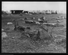 Tykocin, cmentarz żydowski